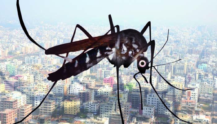 মশা নিয়ন্ত্রণের ব্যর্থতায় ডেঙ্গু