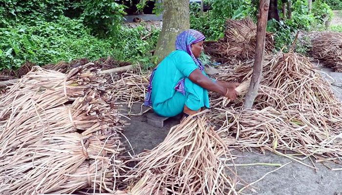 পাবনায় কচুরিপানা থেকে তৈরী হচ্ছে নজরকাড়া হস্তশিল্প