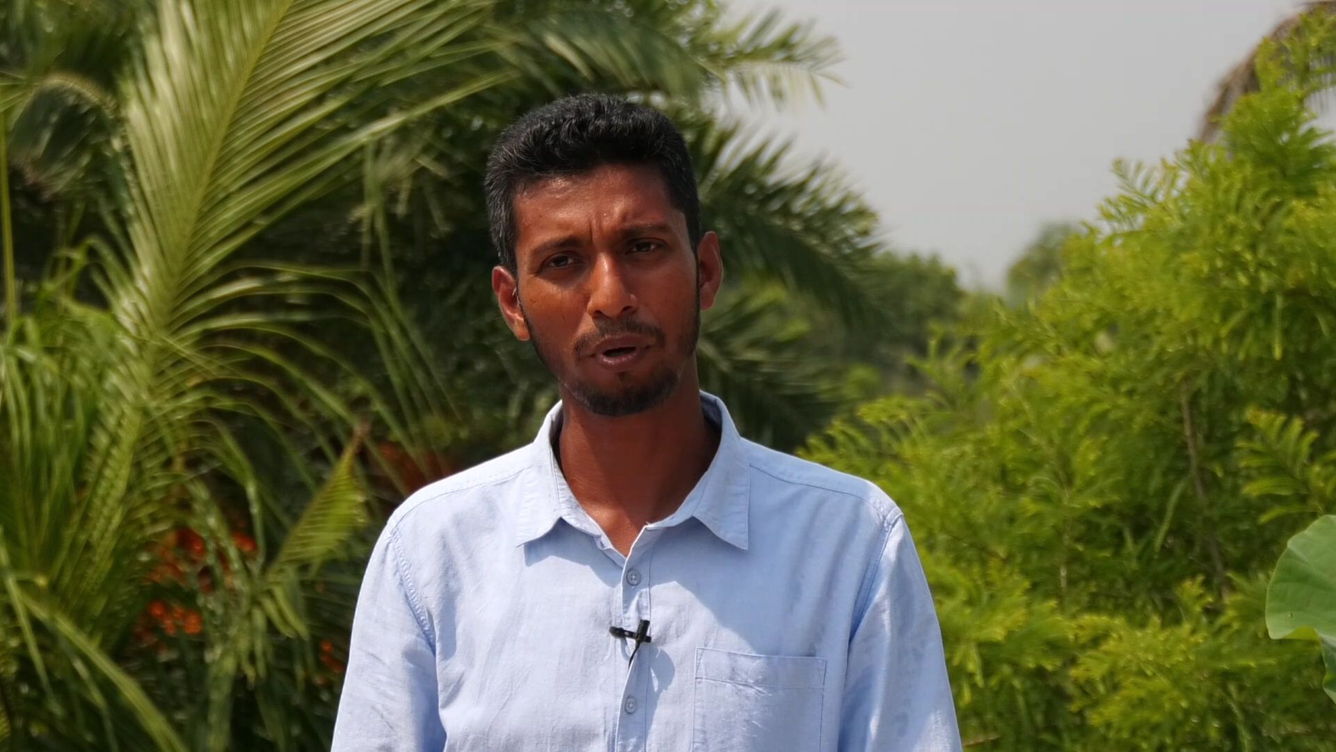 ছাদবাগানে পদ্ম শাপলা ফুল চাষ