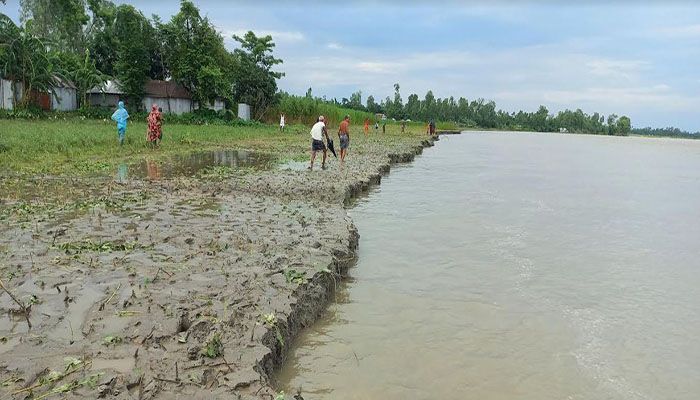 তিস্তার কাউনিয়া পয়েন্টে বেড়েছে পানি, দেখা দিয়েছে ভাঙন