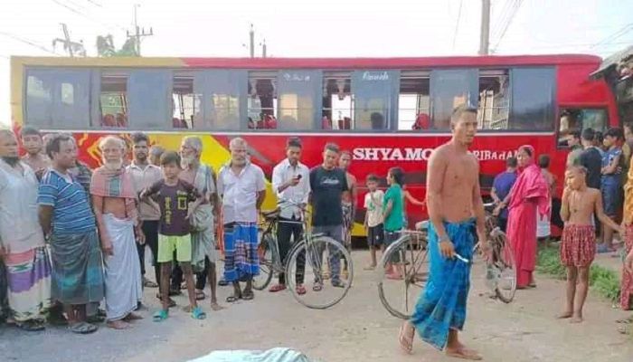 শ্যামলী পরিবহনের ধাক্কায় প্রাণ গেল শ্রমিকের