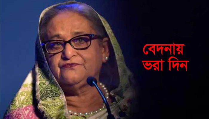 বেদনায় ভরা দিন