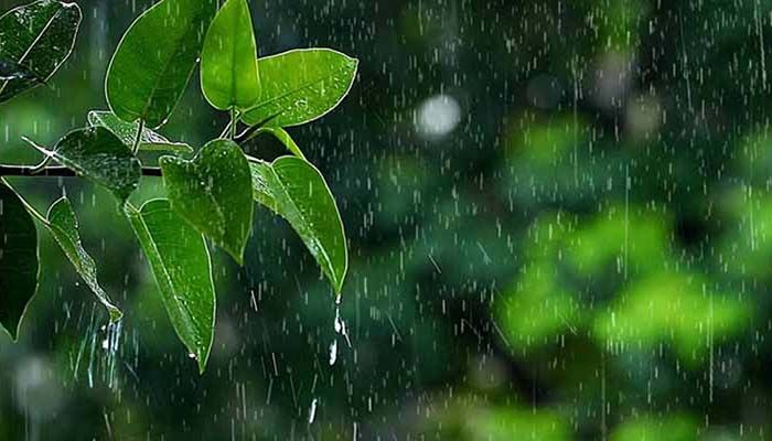 বৃষ্টিপাতের প্রবণতা বাড়বে আগামী ২ দিনে