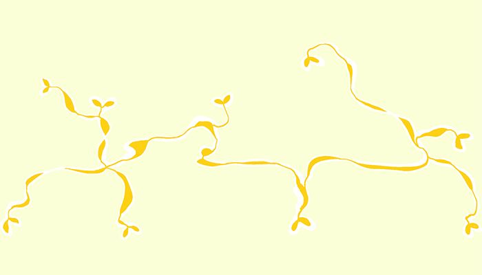 ক্রমাগত ঝিনুকজ্বর