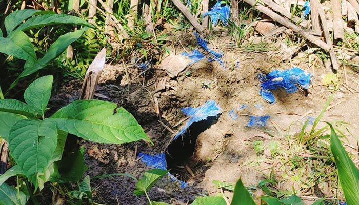 মরেও রেহাই পেলেন না তারা