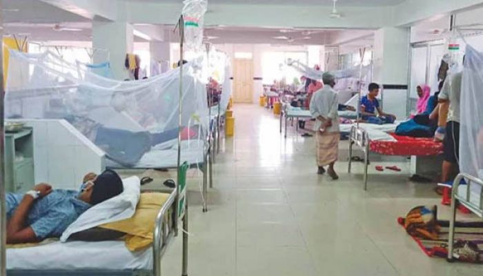 ডেঙ্গুতে মৃত্যুর প্রধান কারণ ‘শক সিনড্রোম’