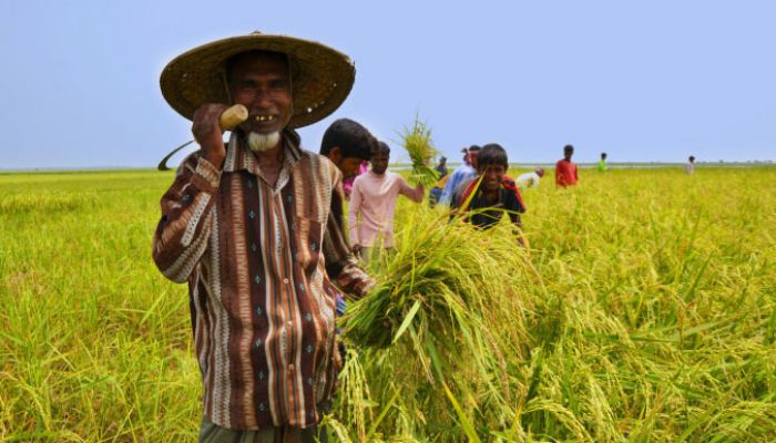 কৃষি খাতে ব্যাংকের ঋণ ৫৪ হাজার ১৬৪ কোটি টাকা