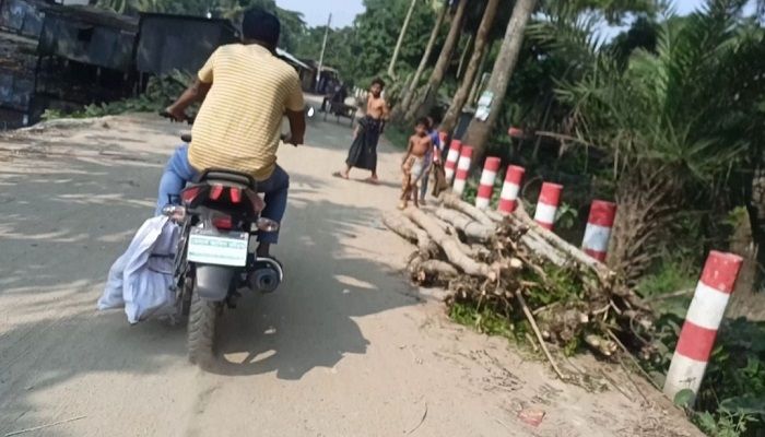 সাংবাদিক দেখে ইলিশ নিয়ে পালালেন পুলিশ কর্মকর্তা