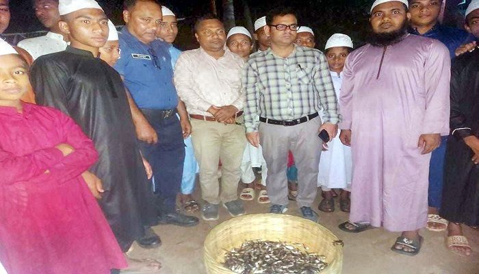 নড়াইলে মাছ ধরার নিষিদ্ধ জাল জব্দ