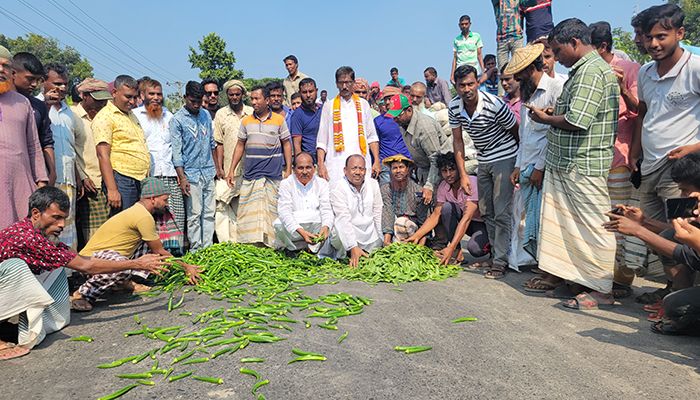 পাবনায় অবরোধবিরোধী কৃষকবন্ধন, মহাসড়কে সবজি ঢেলে প্রতিবাদ