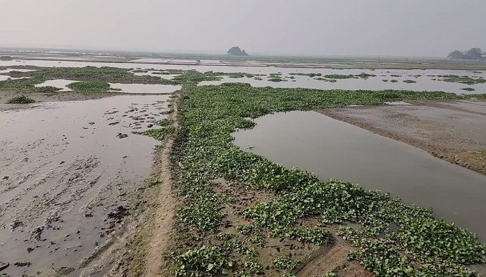 ব্রাহ্মণবাড়িয়ায় অযোগ্য মৎস্য সমিতিকে বিল ইজারা 