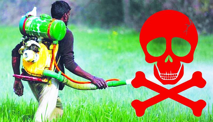 অনিরাপদ কীটনাশকে ঝুঁকিতে কৃষক