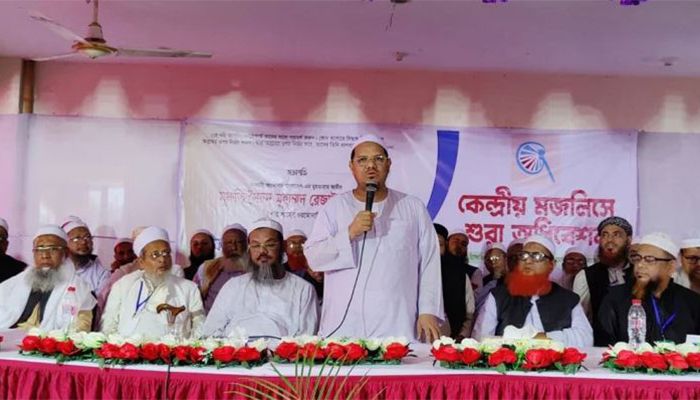 নির্বাচনে বিদেশি হস্তক্ষেপের জন্য সরকার দায়ী: চরমোনাই পীর