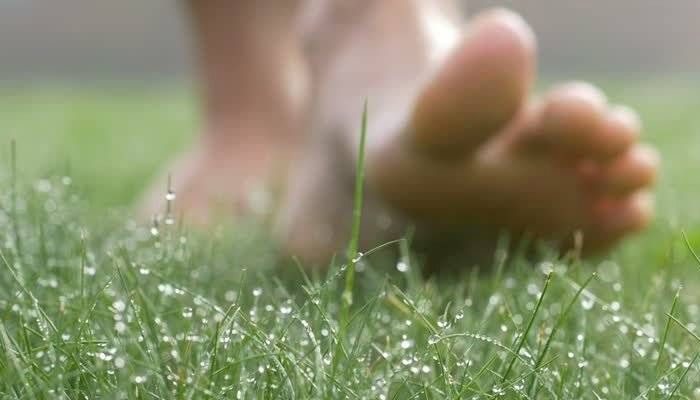 ভেজা ঘাসে খালি পায়ে হাঁটার উপকারিতা
