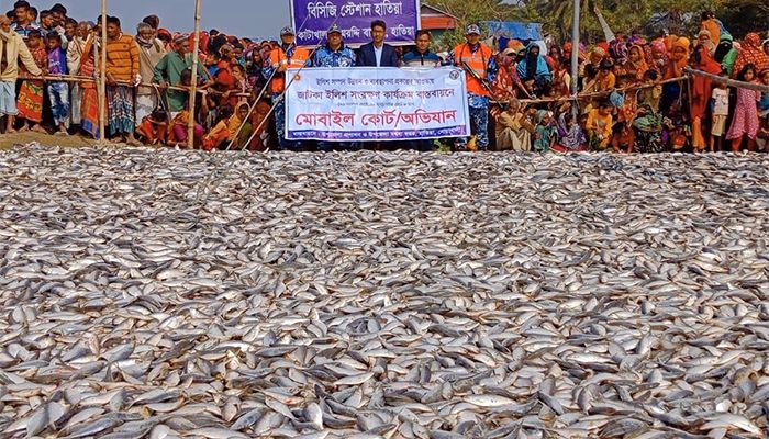  মেঘনা থেকে ৪২০ মন জাটকা জব্দ, আটক ১৬