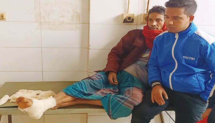 শেরপুরে পাগলা কুকুরের কামড়ে অর্ধশত নারী-পুরুষ আহত