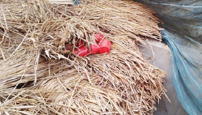 বেনাপোলে অবিস্ফোরিত ১০ তাজা ককটেল উদ্ধার 