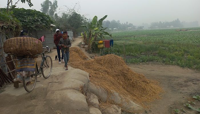 তীব্র শীতে বিপর্যস্ত লালমনিরহাটের জনজীবন
