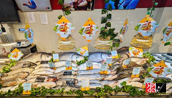 স্বপ্নতে শুরু হয়েছে ঐতিহ্যবাহী জামাই মেলা