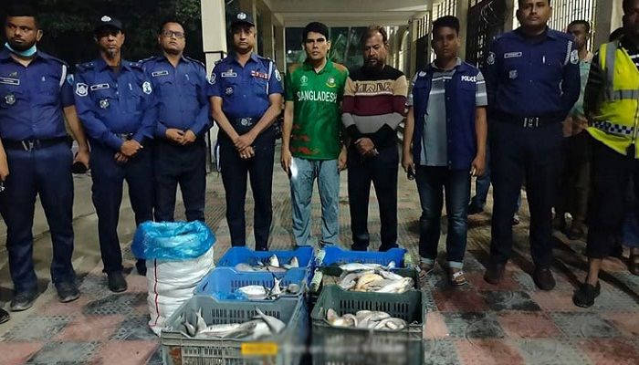 লক্ষ্মীপুরে ২৫০ কেজি ইলিশ জব্দ, ৩০ জেলেকে জরিমানা