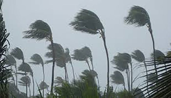 ৩১ জেলায় হতে পারে বজ্রবৃষ্টি 