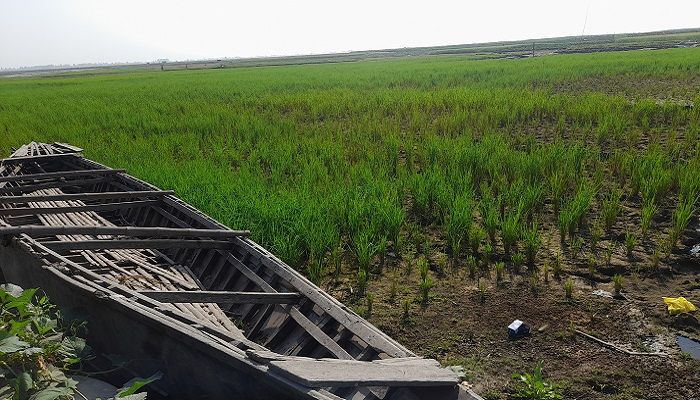 চৈত্র মাস না আসতেই শুকিয়ে গেছে তিস্তা
