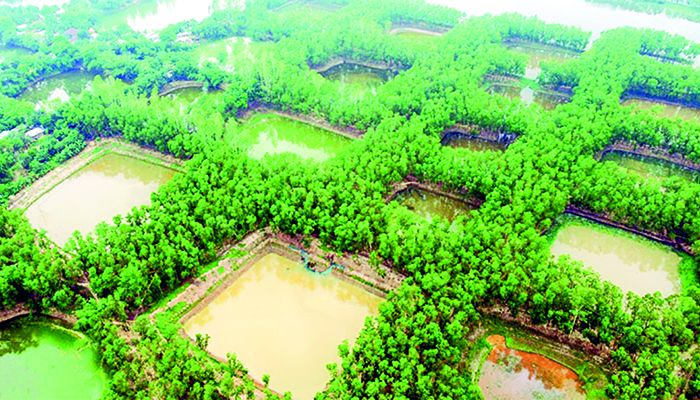 নওগাঁর পুকুর আর রাজার ভালোবাসার কিংবদন্তি 