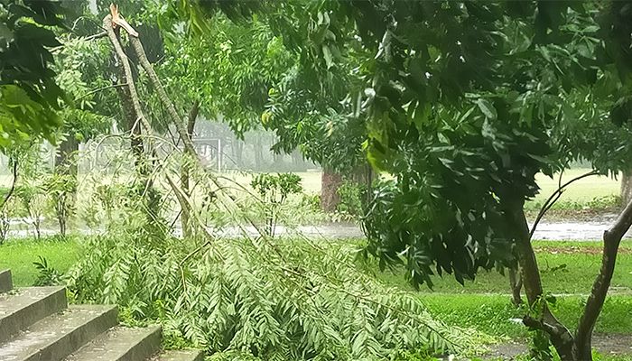 ঘূর্ণিঝড় রেমাল: ইবিতে বিদ্যুৎ-পানি সংকটে শিক্ষার্থীরা