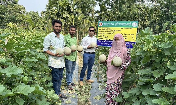 তাপপ্রবাহ ও অনাবৃষ্টির প্রভাব পড়েছে ফলের গায়ে