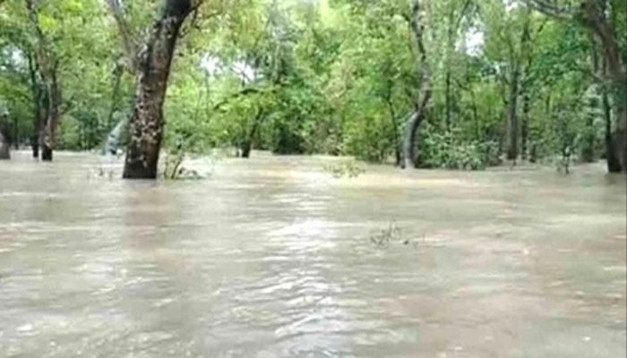 ১০ ফুট পানির নিচে তলিয়ে গেছে সুন্দরবন 