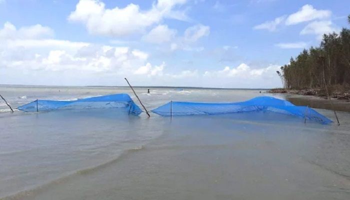 মেঘনা নদীতে অবাধে চলছে গলদা রেণু শিকার