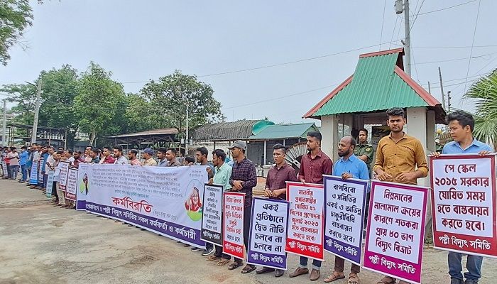 চাকরিবিধি বাস্তবায়নের দাবিতে মানববন্ধন। ছবি: জামালপুর প্রতিনিধি