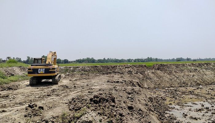 মানিকগঞ্জে বিলীন হয়ে যাচ্ছে ফসলি জমি