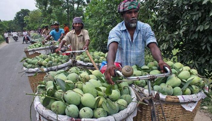 এ বছরের ‘ম্যাঙ্গো ক্যালেন্ডার’ প্রকাশ