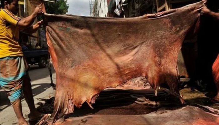কোরবানির পশুর চামড়ার নতুন দাম নির্ধারণ