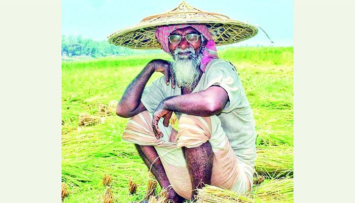 ভিয়েতনামের নোন-লা আমাদের মাথাল