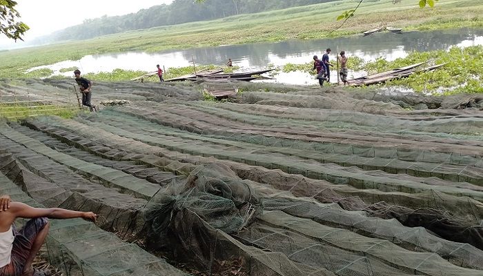 মাছের চেয়ে জাল বেশি