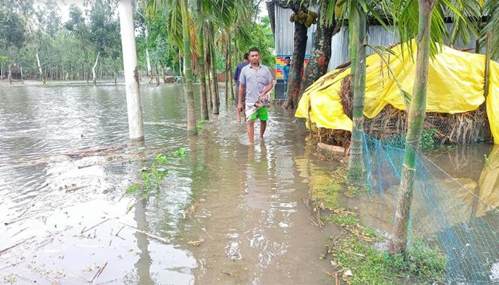 তিস্তার পানি বিপৎসীমার ওপরে, ডুবেছে নিম্নাঞ্চল