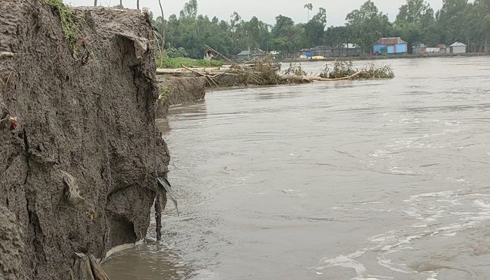 তিস্তায় পানি বৃদ্ধিতে বেড়েছে ভাঙন
