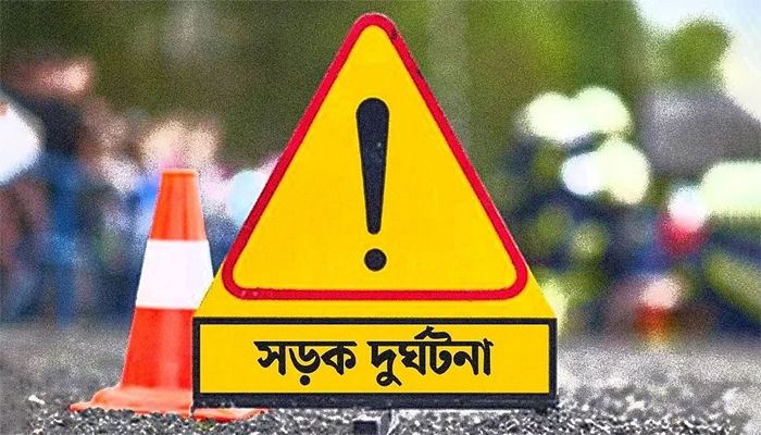 সড়ক দুর্ঘটনায় দুই জেলায় নিহত ১১