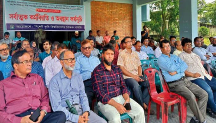আন্দোলন চালিয়ে যাবেন পাবলিক বিশ্ববিদ্যালয় শিক্ষকরা