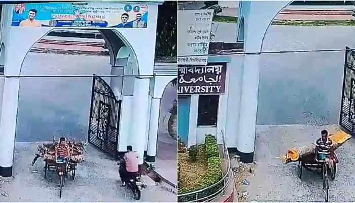 বন্ধ ক্যাম্পাসে গাছের গুড়ি পাচার, তদন্ত কমিটি