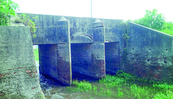 গাইবান্ধার দুঃখ: ঝুঁকিপূর্ণ রেগুলেটর
