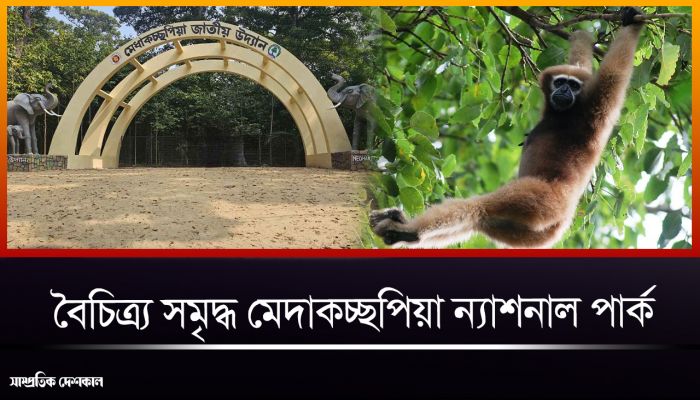 বৈচিত্র্য সমৃদ্ধ মেদাকচ্ছপিয়া জাতীয় উদ্যান 
