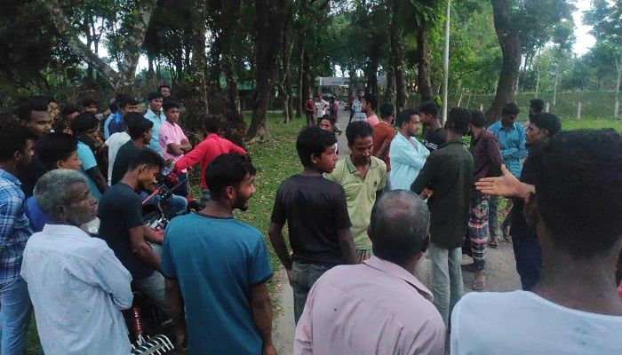 বাংলাদেশি কৃষকের গরু আটক করে ভারতীয় দাবি বিজিবির