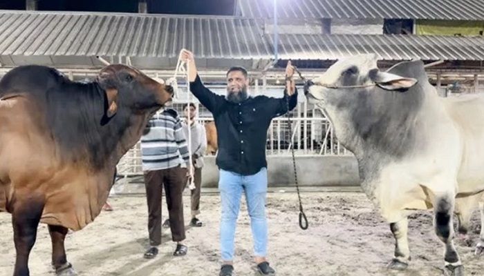 ইমরান ও প্রাণিসম্পদের দুই কর্তাসহ ৭ জনের বিরুদ্ধে মামলা 