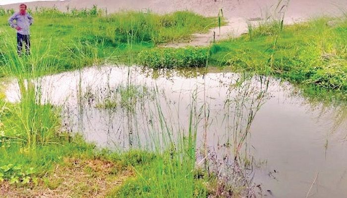 হুমকিতে কুমারখালীর হাজারো বিঘা জমির ফসল