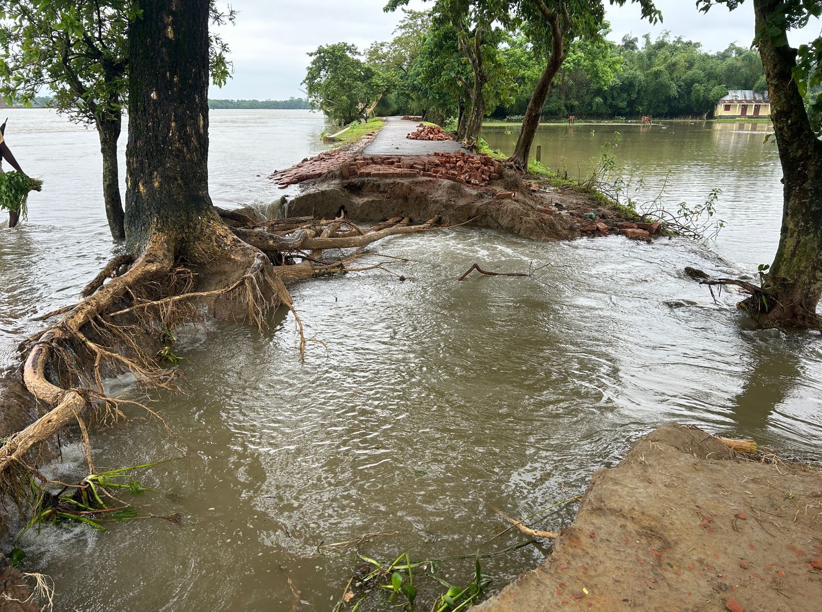 উজানের ঢল আর ভারী বৃষ্টিপাতে ফের বন্যা পরিস্থিতি সিলেট বিভাগে