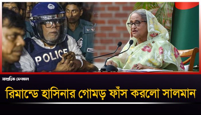 আমেরিকা কনভিন্স হয়েছিল বলেই হাসিনা টিকে ছিল : সালমান এফ রহমান