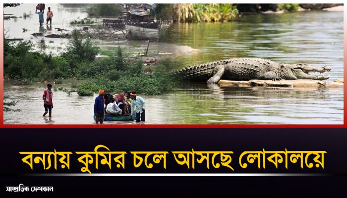 বন্যার পানিতে বাড়ছে কুমির আতঙ্ক !